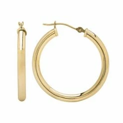 New ⌛ Everlasting Gold 10k Gold Hoop Earrings ????