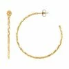 Top 10 ???? Everlasting Gold 14k Gold Twist Hoop Earrings ???? -Everlasting Gold Shop unnamed file 203