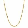 New ???? Everlasting Gold 14k Gold 2.5 Mm Rope Chain Necklace ⭐ -Everlasting Gold Shop unnamed file 312