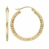 Deals ❤️ Everlasting Gold 10k Gold Textured Hoop Earrings ???? -Everlasting Gold Shop unnamed file 321
