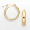 Brand new ???? Everlasting Gold 10k Gold Hoop Earrings ???? -Everlasting Gold Shop unnamed file 58